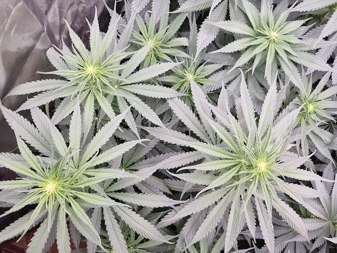 Growreport Bild 30