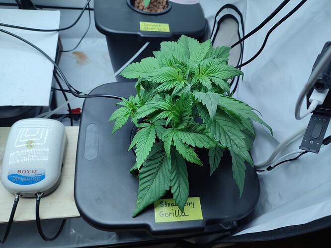Growreport Bild 16