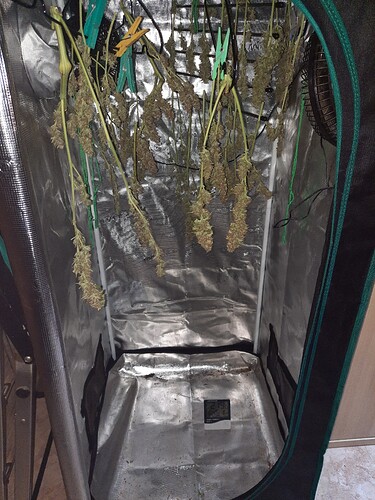 Growreport Bild 3