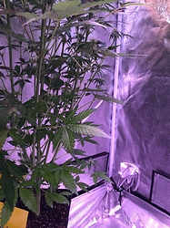 Growreport Bild 18