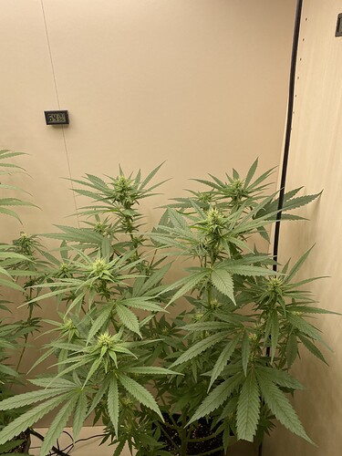 Growreport Bild 15