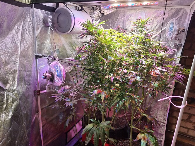 Growreport Bild 11