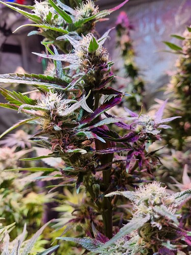 Growreport Bild 21