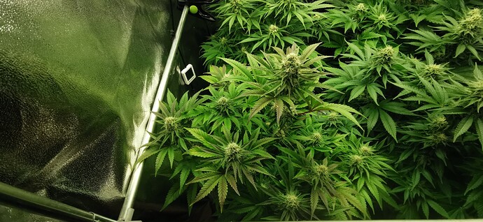 Growreport Bild 11