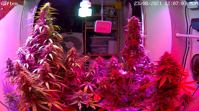 Growreport Bild 15
