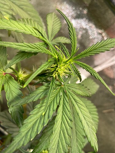 Growreport Bild 5