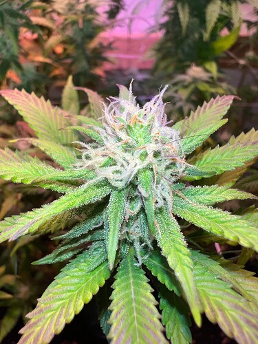 Growreport Bild 14
