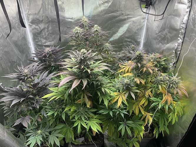 Growreport Bild 16