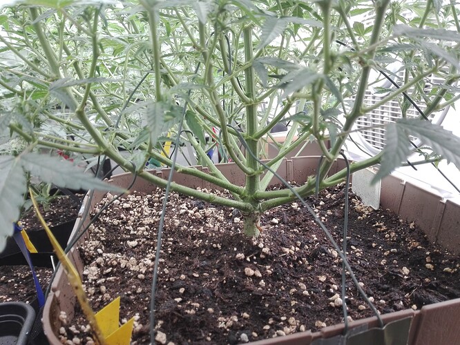 Growreport Bild 21