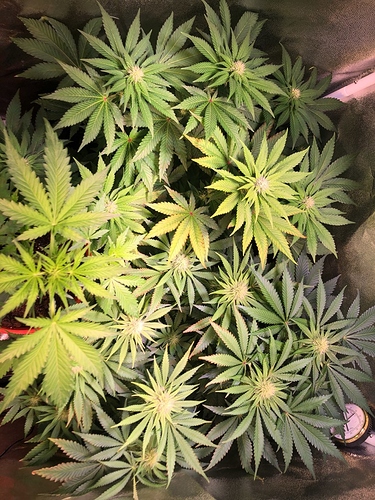 Growreport Bild 14