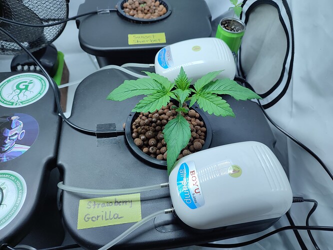 Growreport Bild 21