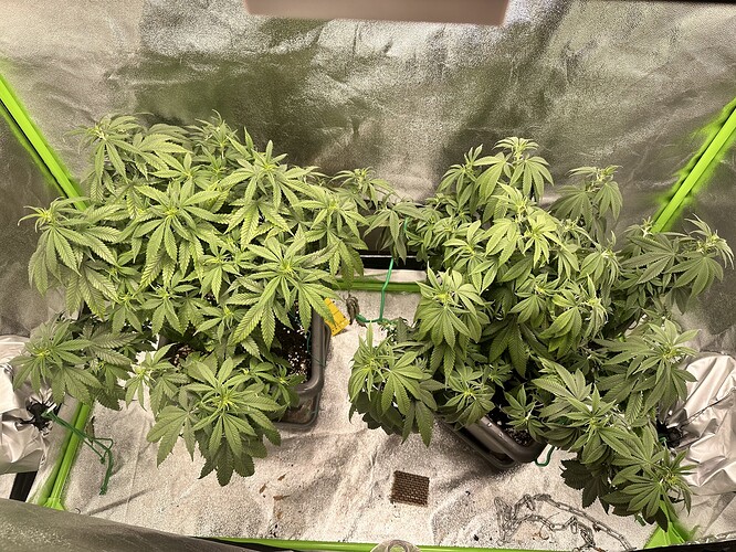 Growreport Bild 2