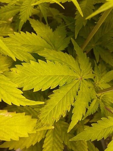 Growreport Bild 8