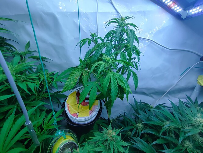 Growreport Bild 17