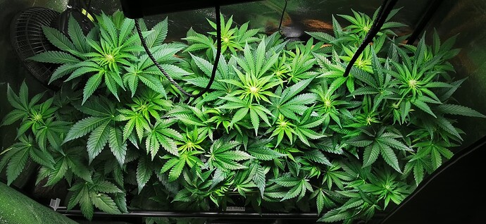 Growreport Bild 14