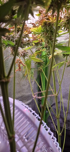 Growreport Bild 2