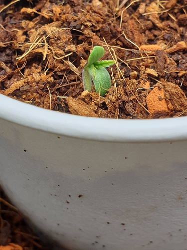 Growreport Bild 6