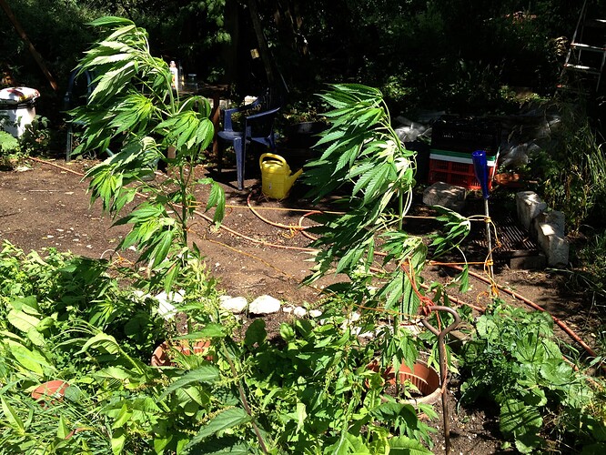 069_SturmwarnungPoly_01