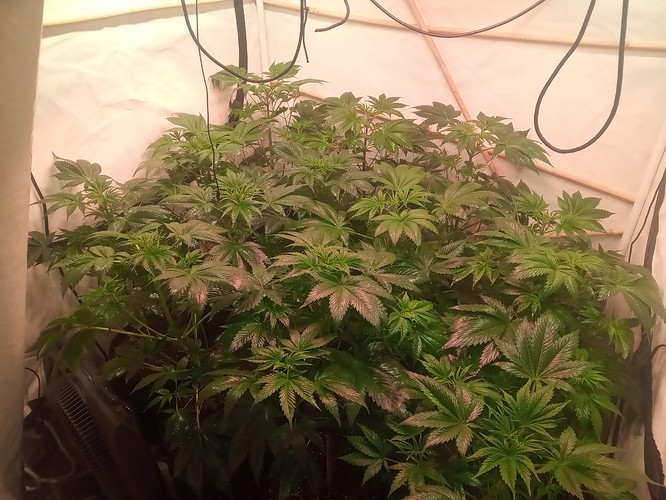 Growreport Bild 14