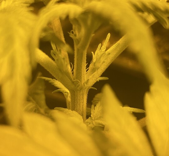 Growreport Bild 16