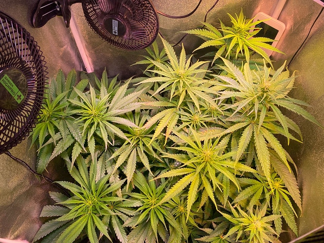 Growreport Bild 7