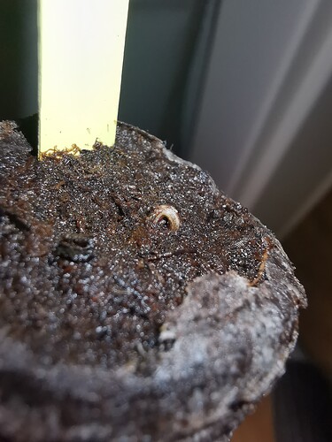 Growreport Bild 96