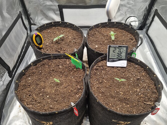 Growreport Bild 15