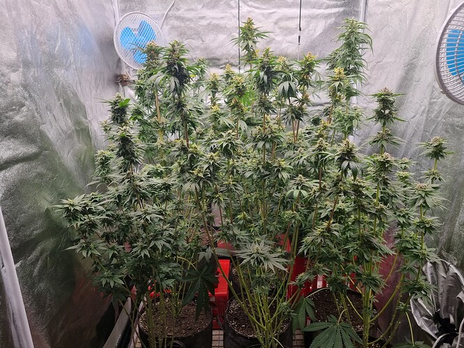 Growreport Bild 14
