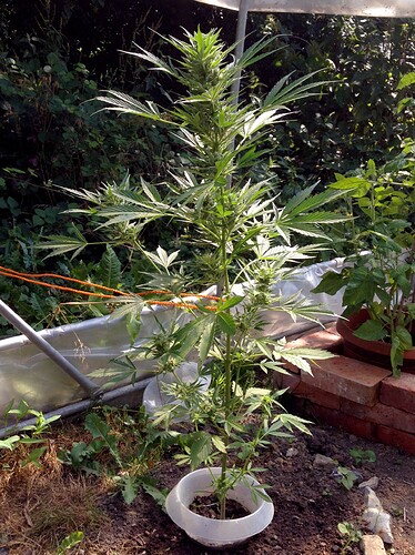 070_SiebterSiebter_03