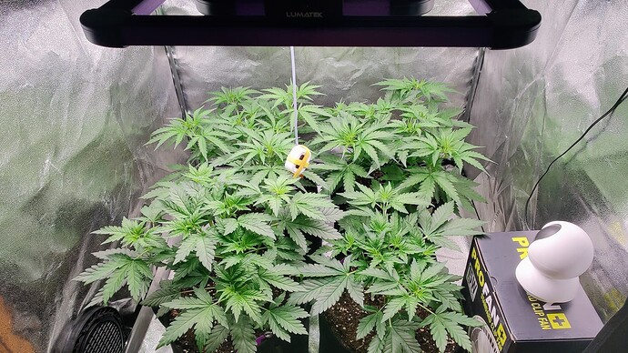 Growreport Bild 2