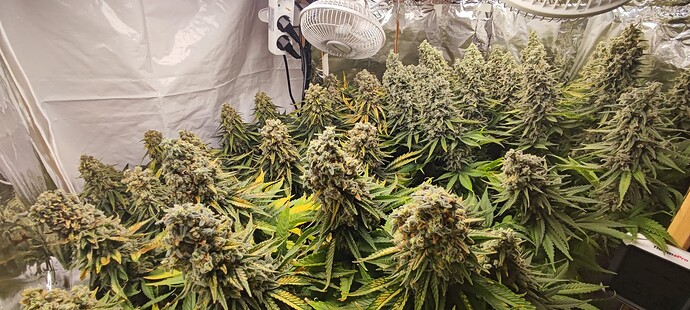 Growreport Bild 9