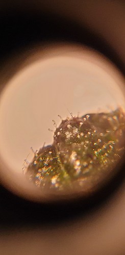 Growreport Bild 7