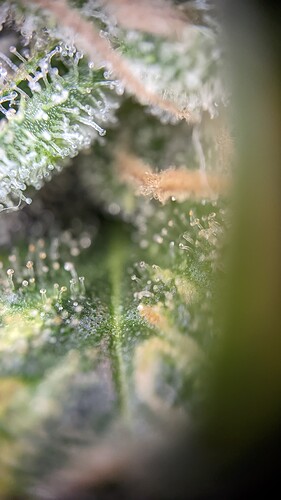 PXL_20221020_180343569