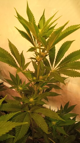 Growreport Bild 14