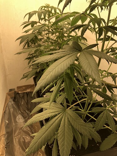 Growreport Bild 6