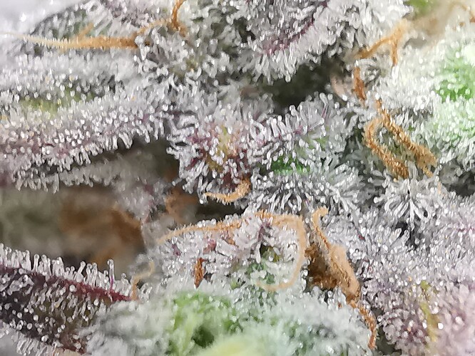 Growreport Bild 14