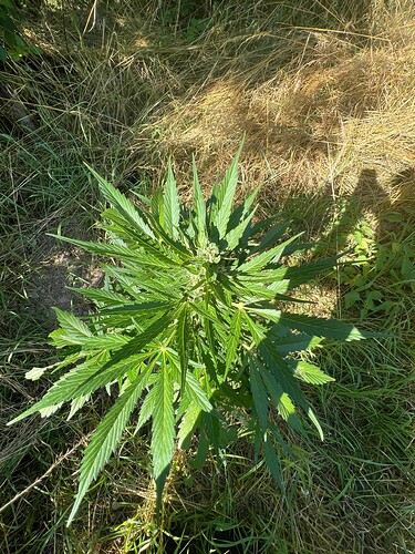 Growreport Bild 9