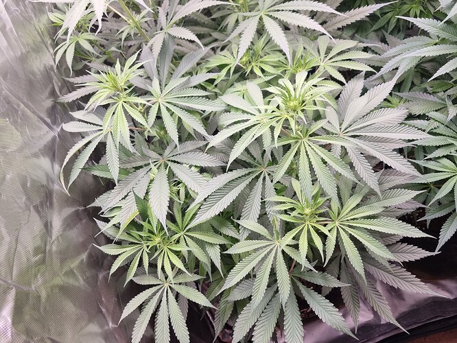 Growreport Bild 22