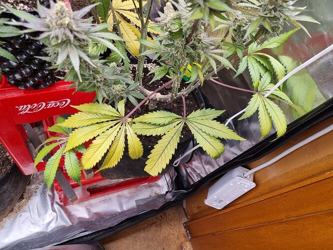 Growreport Bild 18