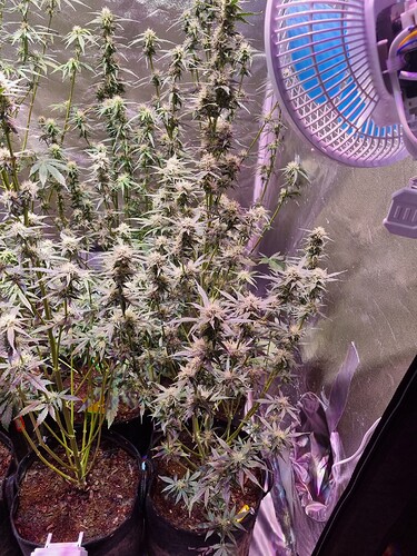 Growreport Bild 24