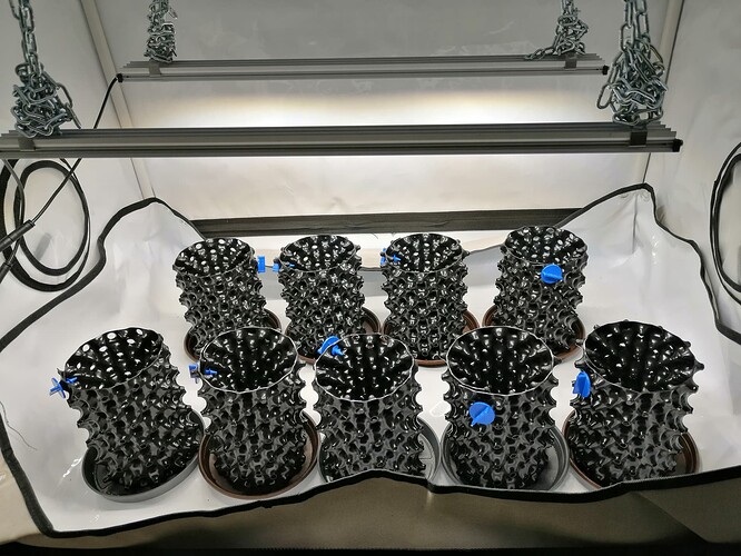 Growreport Bild 10
