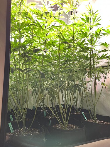 Growreport Bild 4