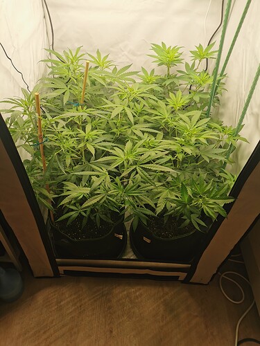 Growreport Bild 15
