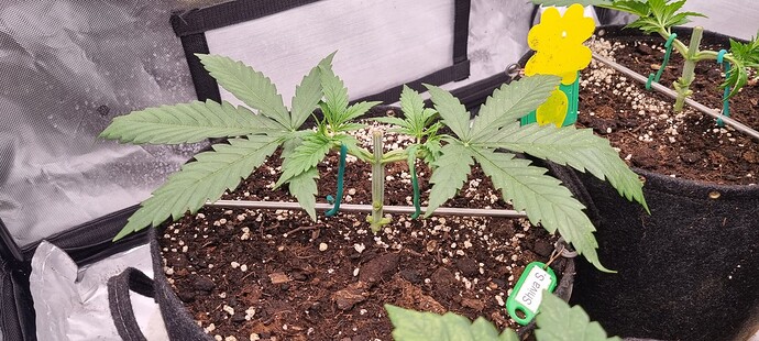 Growreport Bild 22