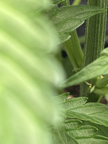 Growreport Bild 23