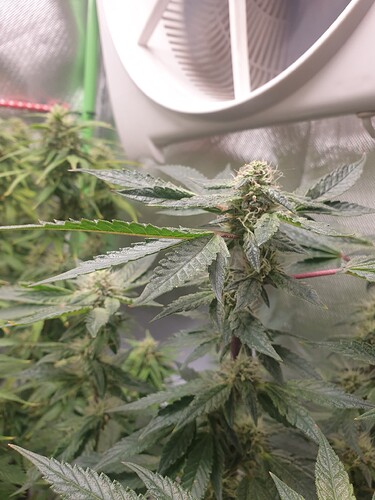 Growreport Bild 11