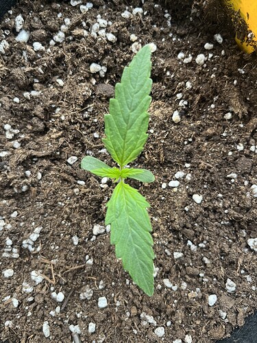 Growreport Bild 10