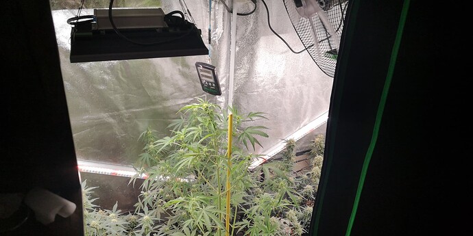 Growreport Bild 23