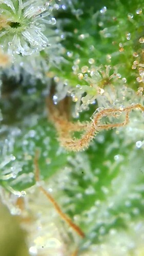 Growreport Bild 22