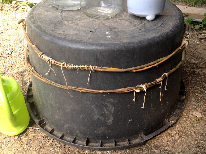 051_TrockennetzWeidenringe